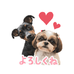 anko_20260504194200