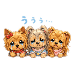 etsuko_20260504194459