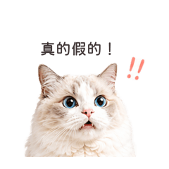 星與里歐3