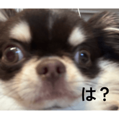 suzu_20260504175754