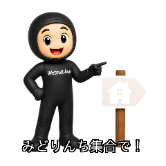 vivicat2_20260504180558