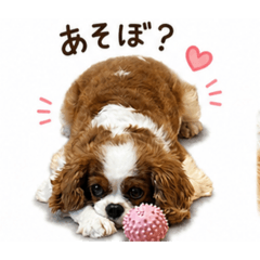 minosuke_20260504180506