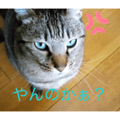 Hello_20260504183032