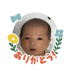 emiry_20260504175749