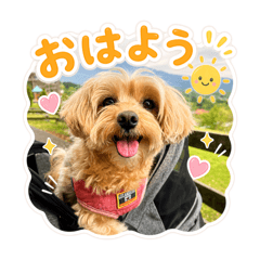 MOKA_20260504183129