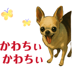 pocosaku_20260504182902