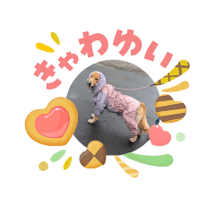 kankan_20260504202730