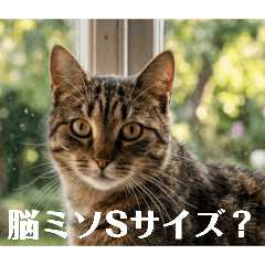 sutanpusyokunin_20260504183009