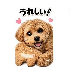 shouji_20260504204504