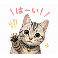 gIt6Mbk75jST9RGX_20260504183856