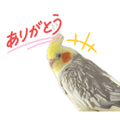 Inko_20260504204310
