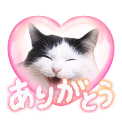 sarnya3_20260504192415