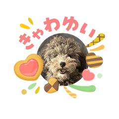 yuuims_20260504192250