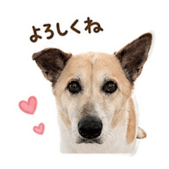haru_20260504212736
