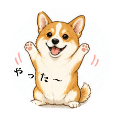 pom_20260504212752