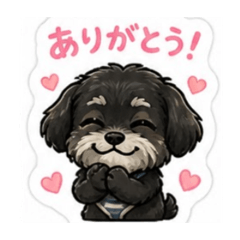 kuromaru_20260504212825