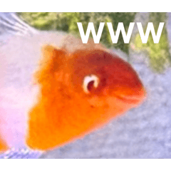 Karin_20260504212520