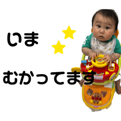mako_20260504201658