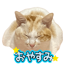 haruka_20260504201905