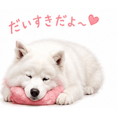 kouseiyahaba_20260504201705