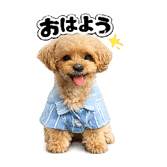 shouji_20260504202321