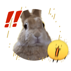 R_20260504202518