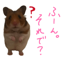 m1yu_20260503202150