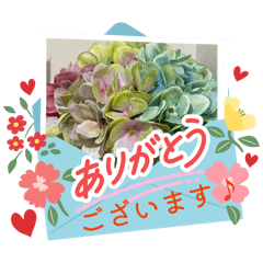 hacchi_20260504230309