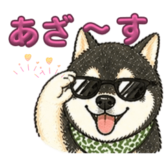 kuroshiba  haku_20260504201422