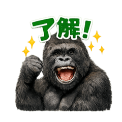 ayacham_20260504230545