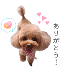 K_20260504230006