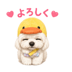 T_my_20260504225832