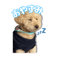 haruchanai