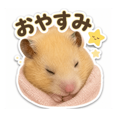 SAKU_20260504230729