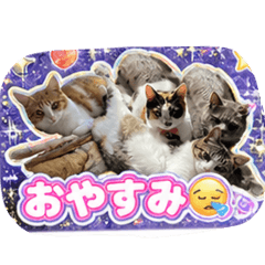 yuuka_20260504210054