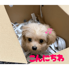 mitani_20260504205700