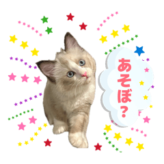 aiiiiiko_20260504210507