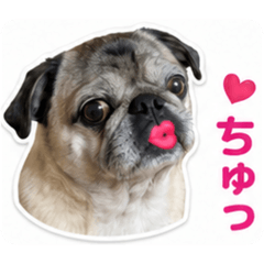 ayuko_20260504235130
