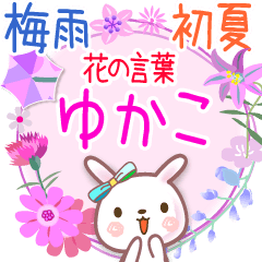 Rainy Days and Early Summer for Yukaco