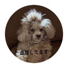 Japan_20260504214935