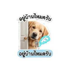 suwanrudee Loylom_20260506130512