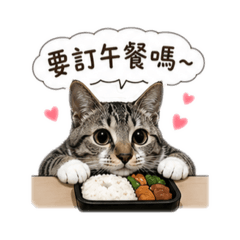 可愛的虎斑貓上班日常