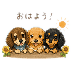 mkey_13_20260504220441