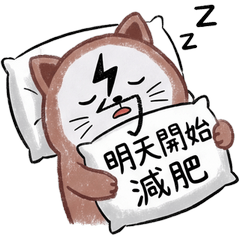 ㄅ級貓｜19減肥篇