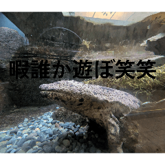 rei_20260504221313