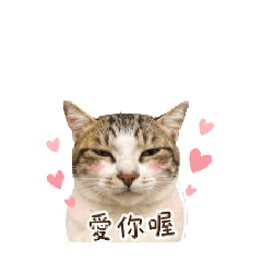 小小88