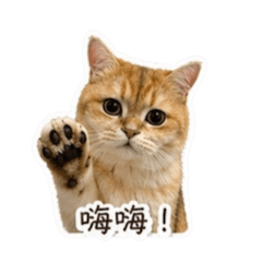 鵝子日常PART TWO