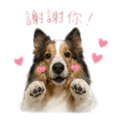 我是摳比ㄛ