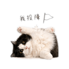 黑糖漢堡包9