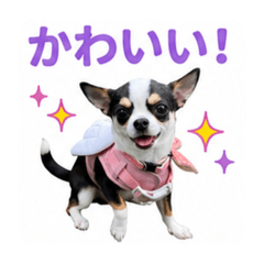 ayuko_20260504232118